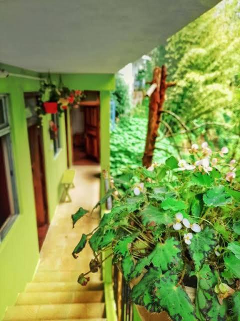 Silver Sun Official Darjeeling  Exterior foto